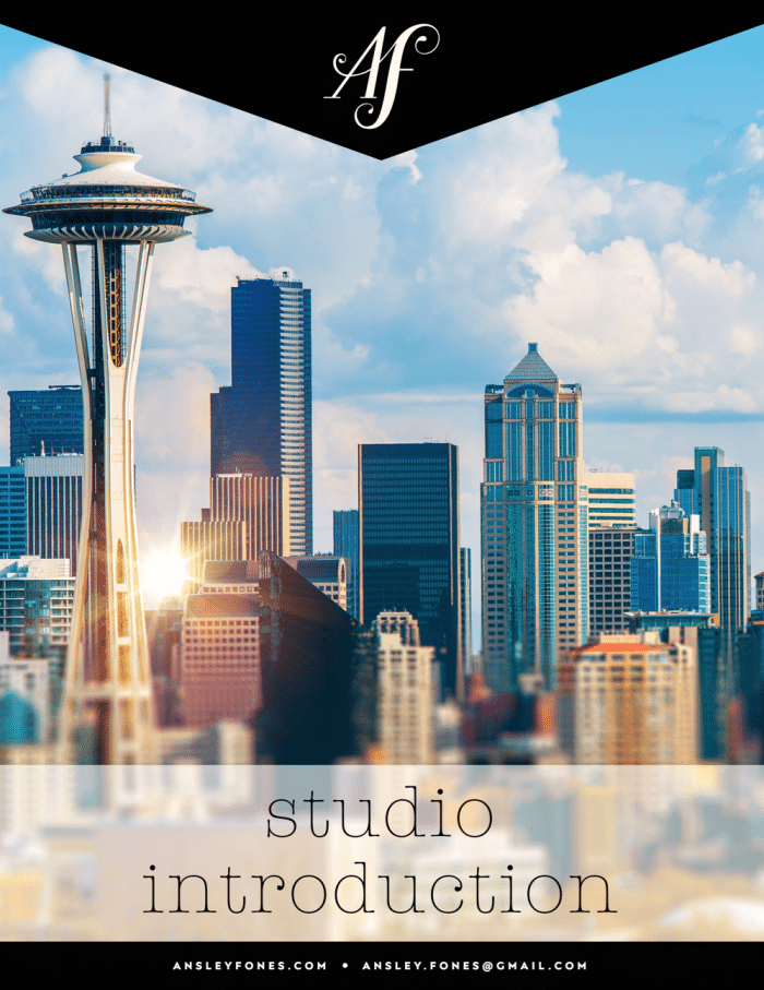 Ebook Cover with Seattle Skyline and Ansley Fones logo with the words "Studio Introduction"