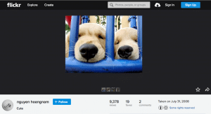 Screenshot of flickr page with image of fluffy dogs