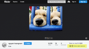 Screenshot of flickr page with image of fluffy dogs
