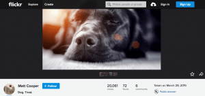 Photograph of black lab sleeping with flickr screenshot