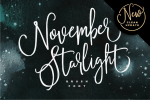 Illustration of stars on dark background with words "November Starlight" overlaid in a script font