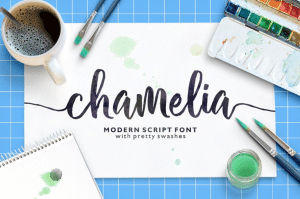Image of words "Chamelia modern script font" on table with coffee and watercolor paint set