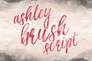 Image of words "Ashley brush script" in paint-like font