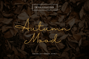 Photo of autumn leaves with dark filter, and words "Autumn mood" in script font