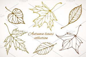 Illustration of outlines of leaves in different shades of brown